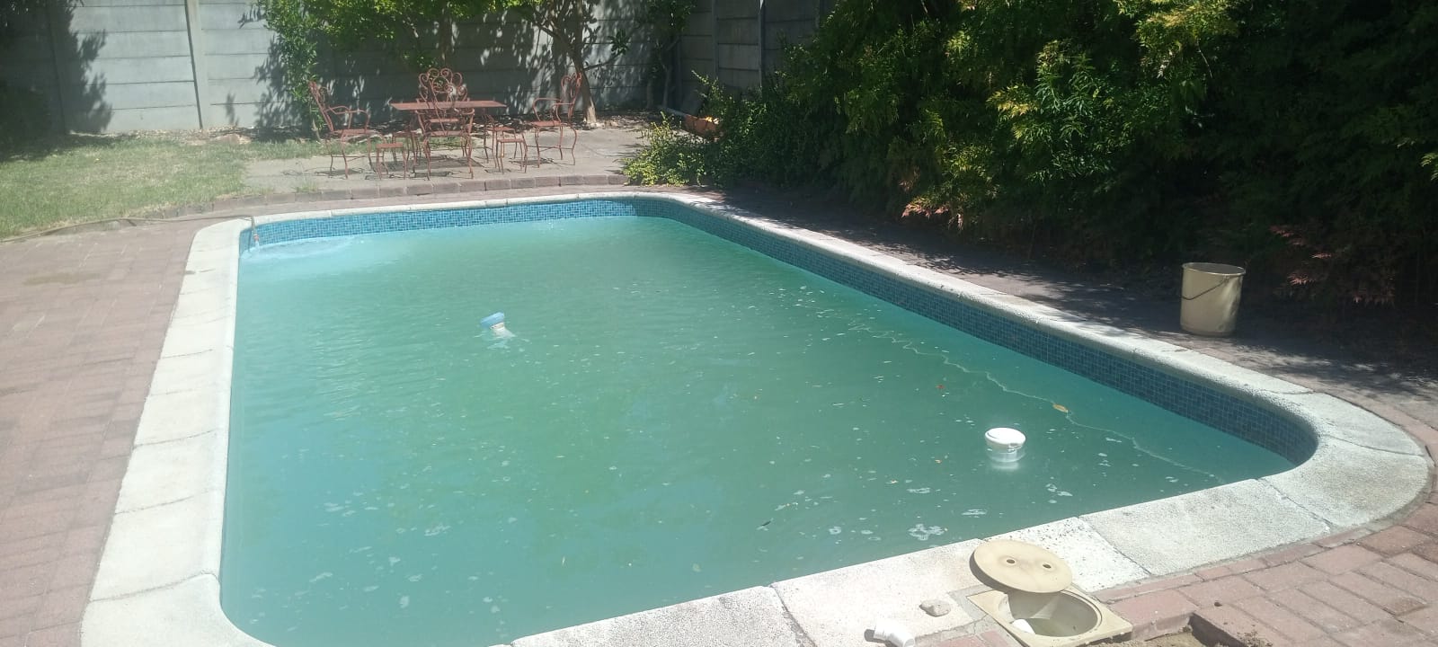 Pool with cloudy pale green water and a floating chlorine dispenser