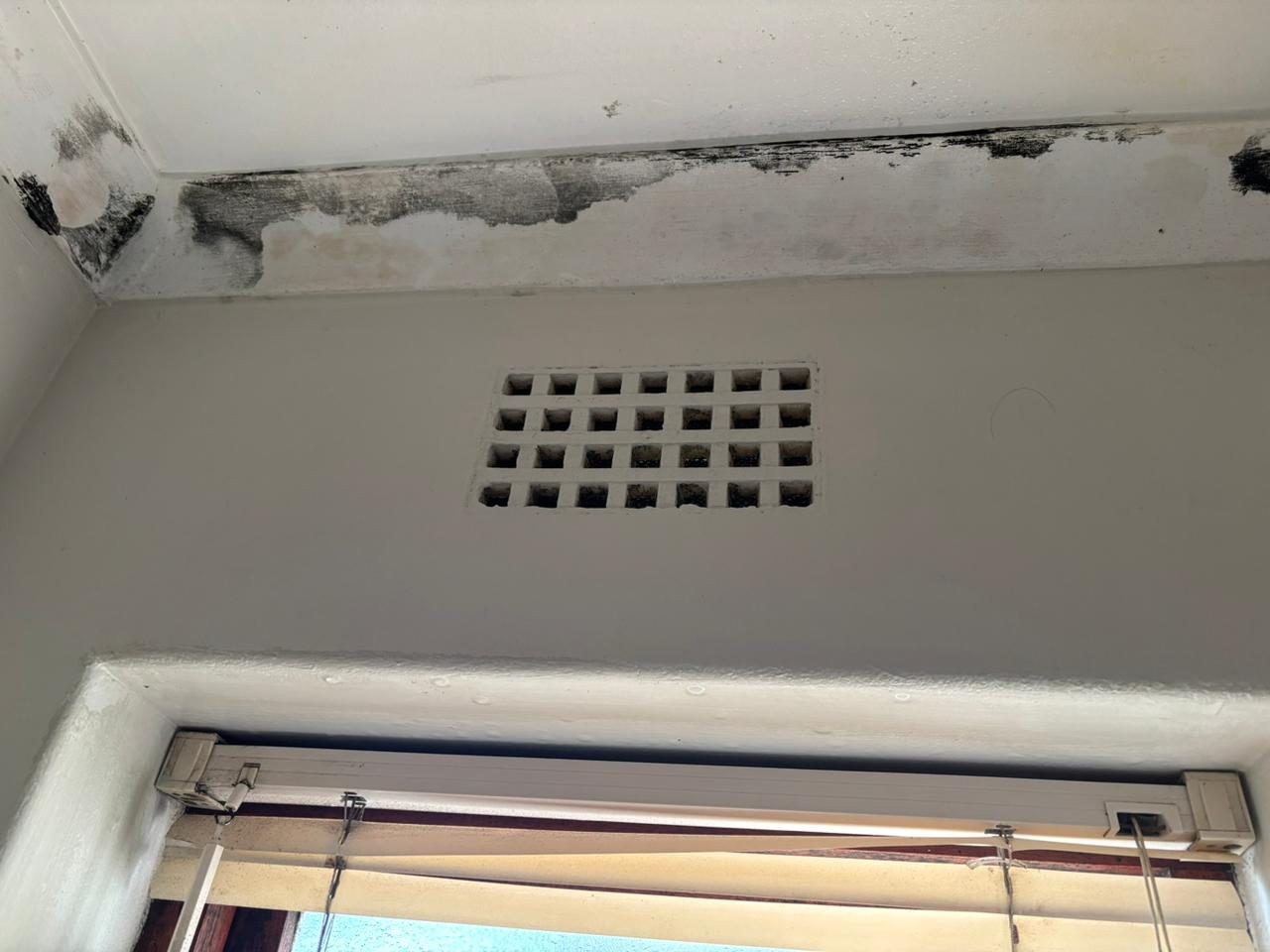 Waterproofing job in Edgemead