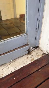 Carpentry & Joinery job in Brackenfell
