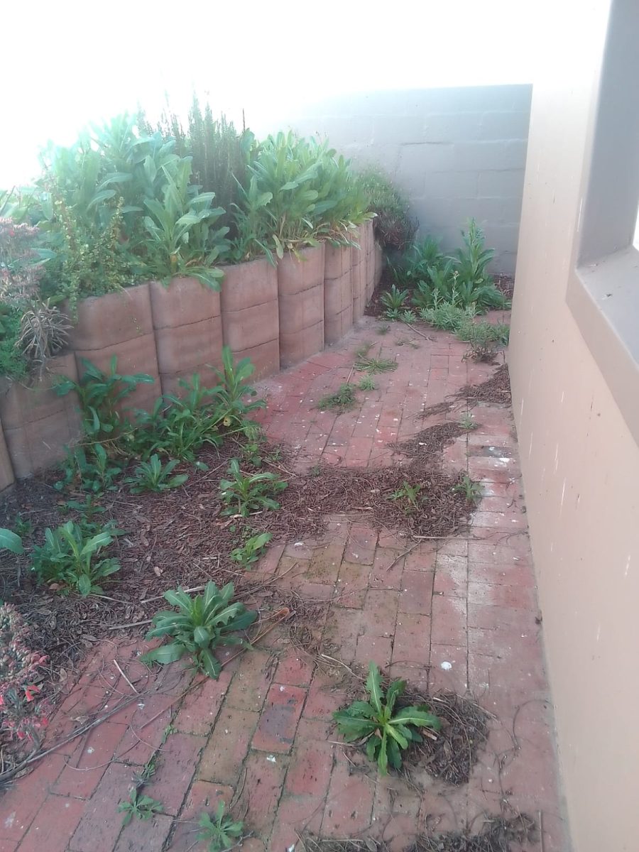 Gardening & Landscaping job in Brackenfell