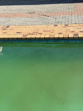 Pool Maintenance job in Kuilsriver