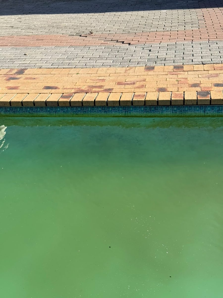 Pool Maintenance job in Kuilsriver