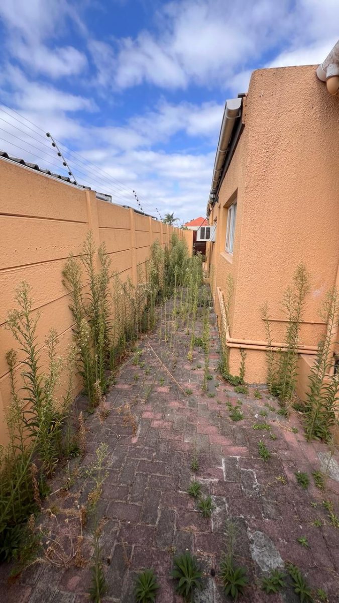 Gardening & Landscaping job in Brackenfell