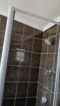 Ceiling & Damp Repairs job in Brackenfell
